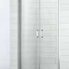 Saniselect Elina Nispendeldeur 100x210 cm alu gepolijst / helder veiligheidsglas