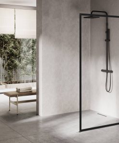 Ben Delphi Inloopdouche met Helder Glas 80x200 cm Mat Zwart