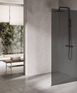 Ben Delphi Inloopdouche met Grijs Glas 110x200 cm Mat Zwart