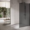 Ben Delphi Inloopdouche met Grijs Glas 120x200 cm Mat Zwart