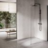 Ben Delphi Inloopdouche met Helder Glas 110x200 cm Mat Zwart