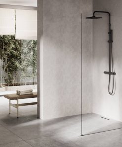 Ben Delphi Inloopdouche met Helder Glas 120x200 cm Mat Zwart